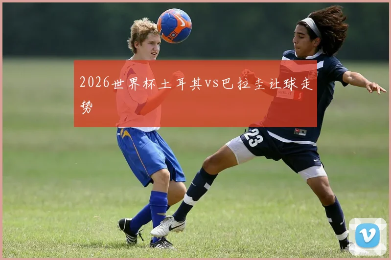 2026世界杯土耳其vs巴拉圭让球走势